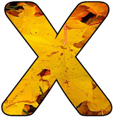 Herbstbuchstabe-2-X.jpg